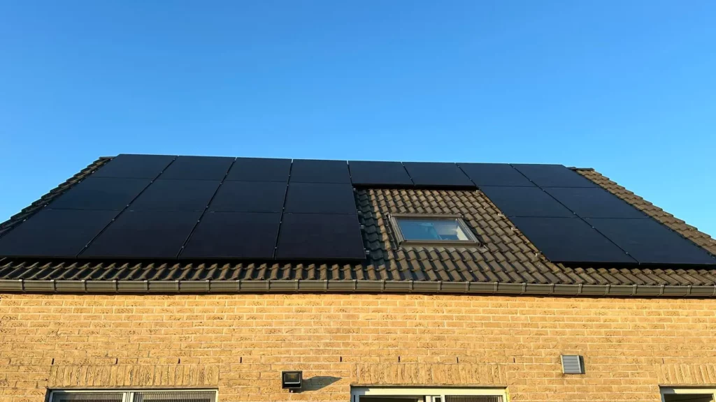 505151916_10232885382329068_8185005904517285337_n